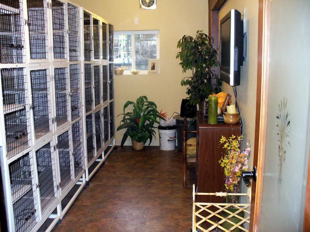 Waldorf Kennels Ridgefield, Washington